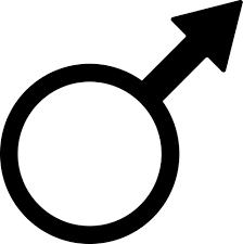 männlich Geschlecht Zeichen oder Symbol. 24224647 Vektor Kunst bei Vecteezy